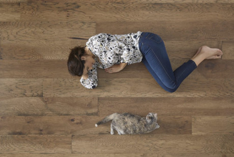 LVT - idealan pod za život sa ljubimcima