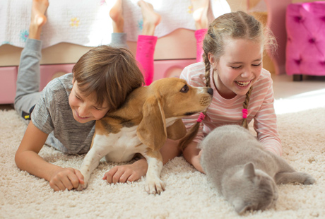 5 razloga zašto je dobro imati tepihe u domu